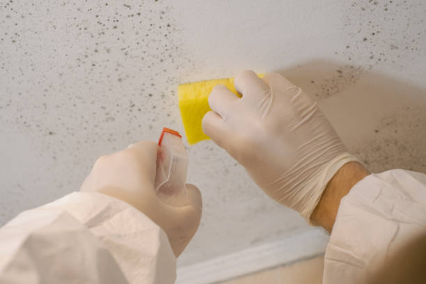 Best Dehumidification Services  in Garden City Park, NY